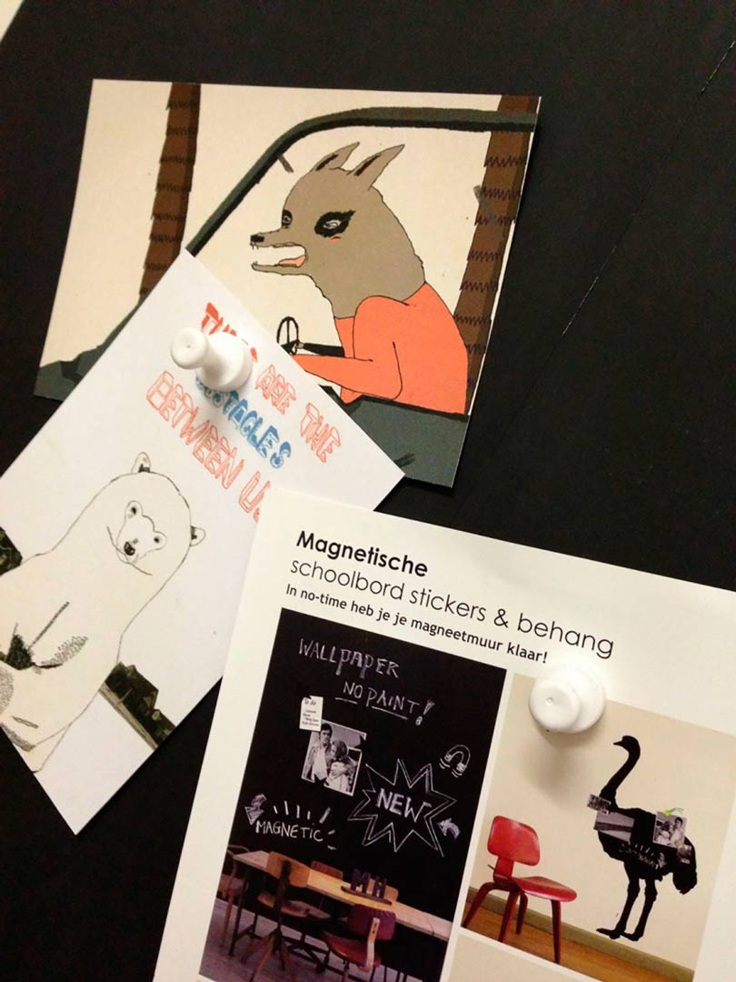 Pinchos magneticos blancos