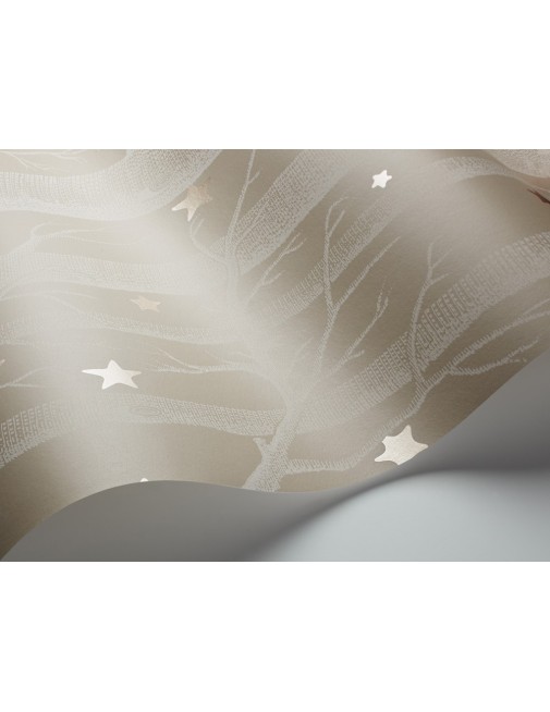 Papier peint Wood and Stars light brown Cole and Son