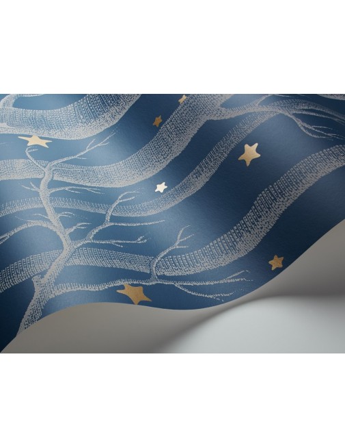 Paper painted Wood and Stars dark blue Cole and Son