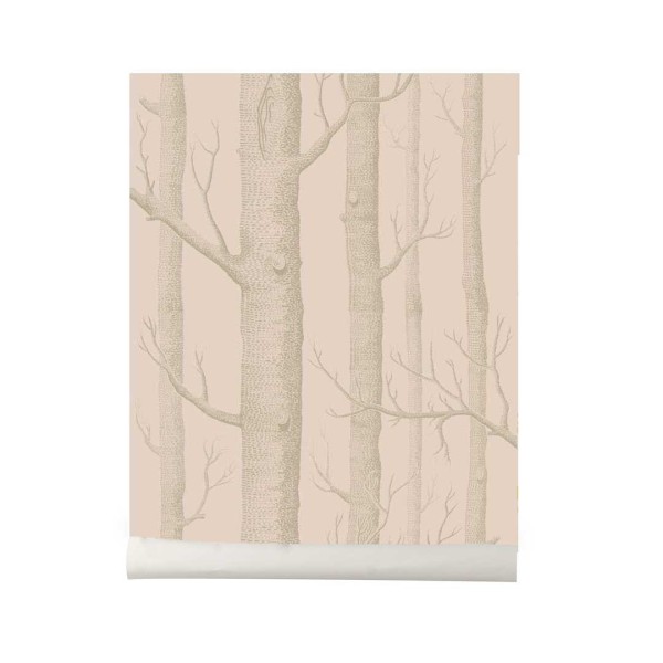 Papel pintado Wood light pink Cole and Son