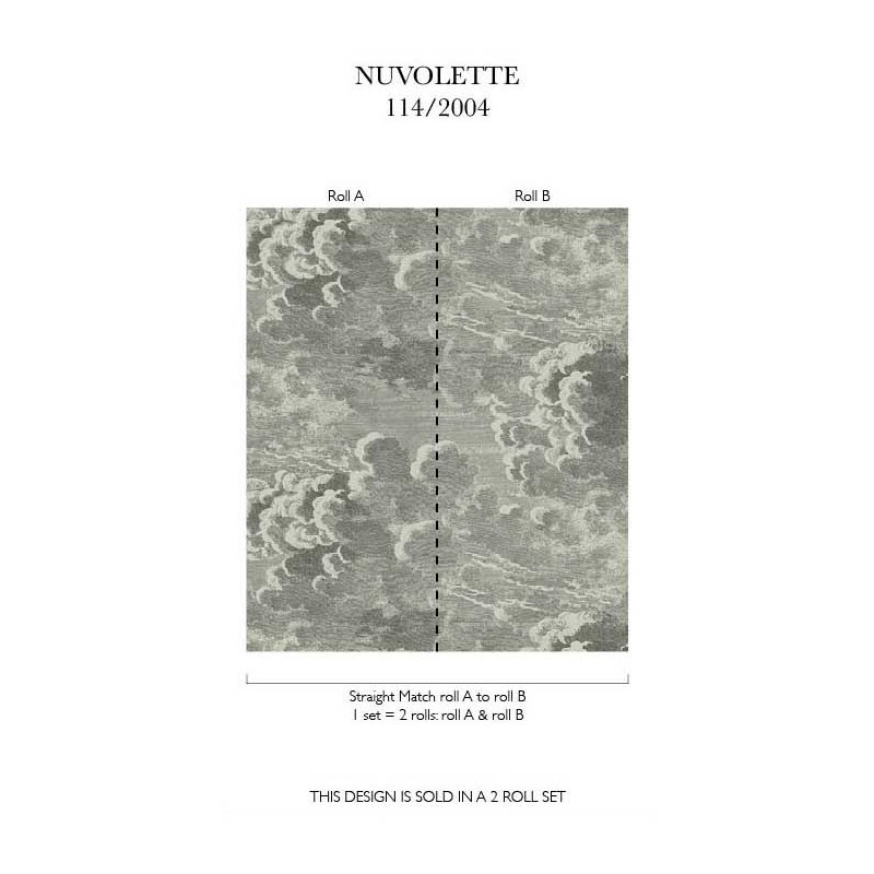 Papier peint Nuvolette Dark Grey Cole and Son