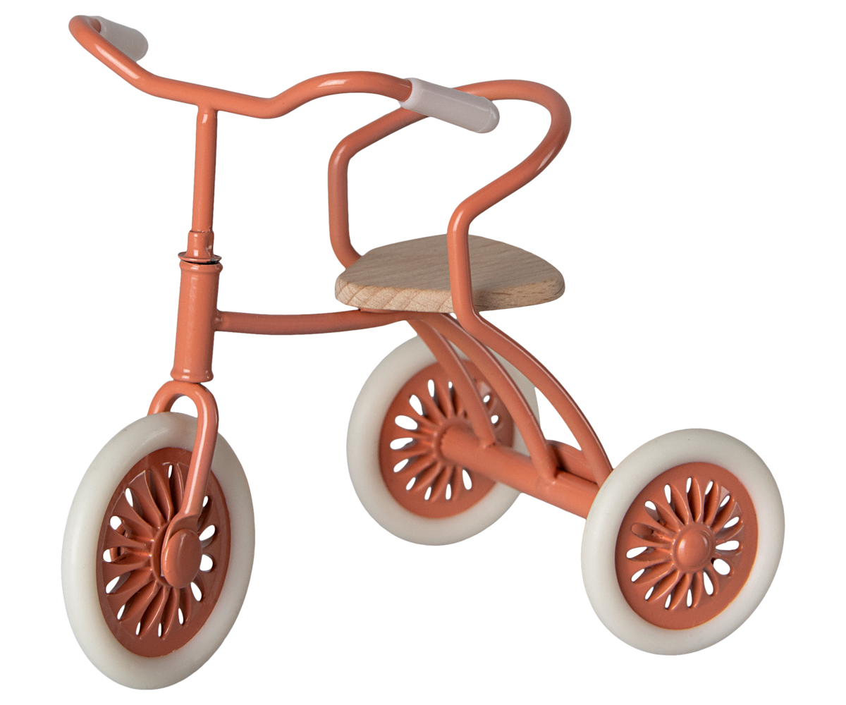 Abri à tricycle, Ratón