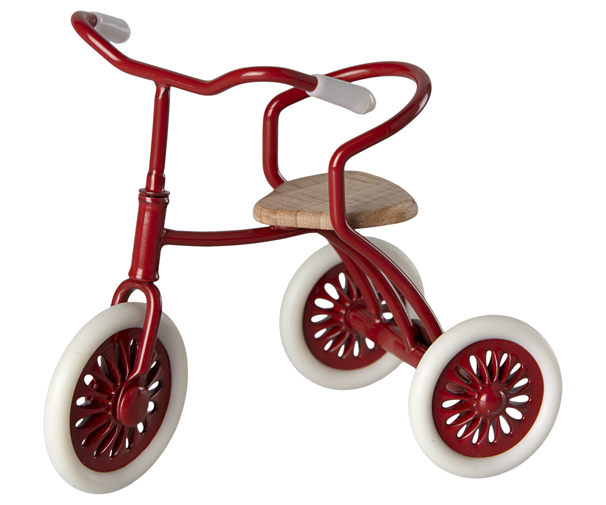 Abri à tricycle, Ratón