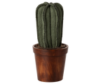 Maceta con cactus