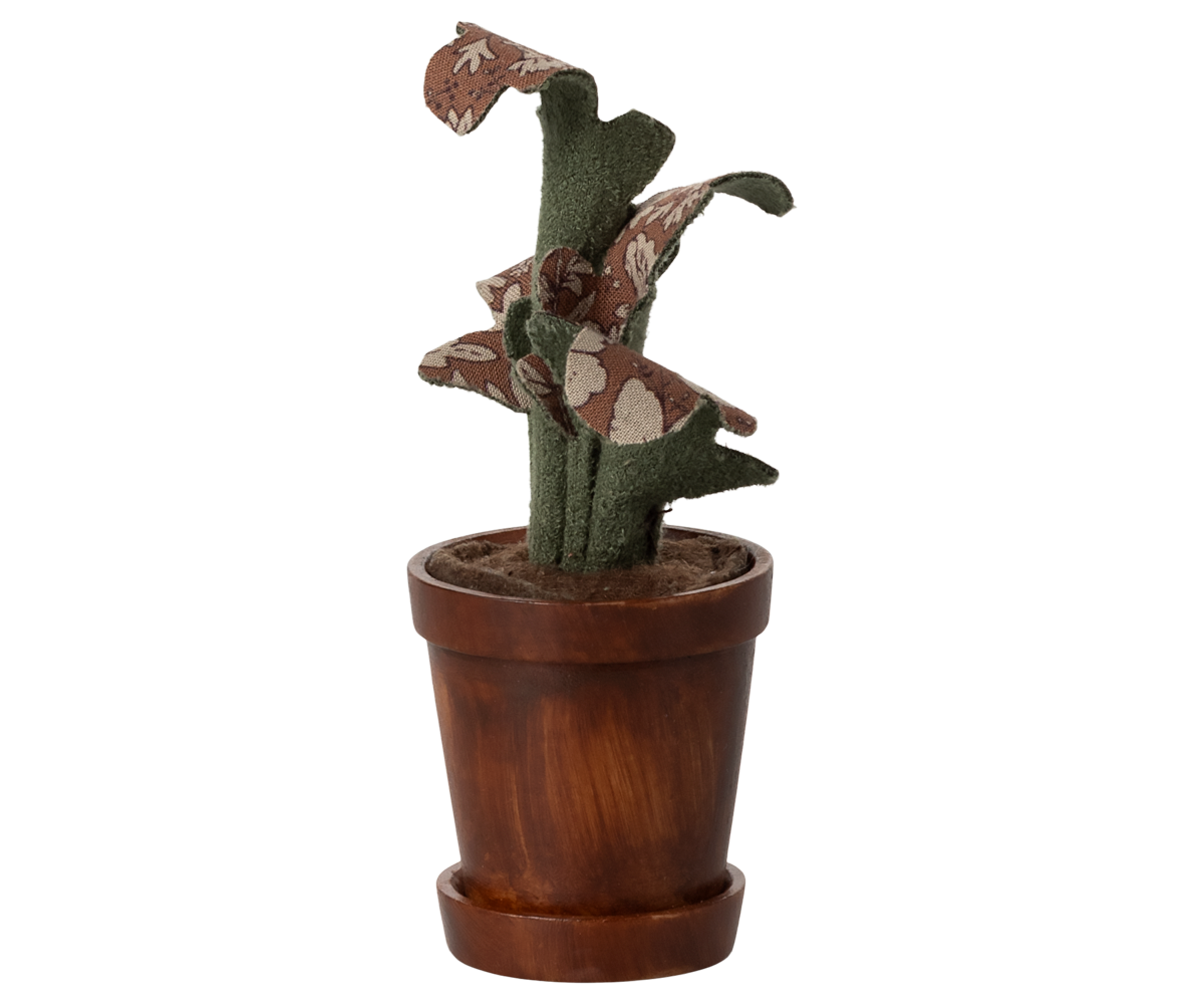 Maceta con cactus