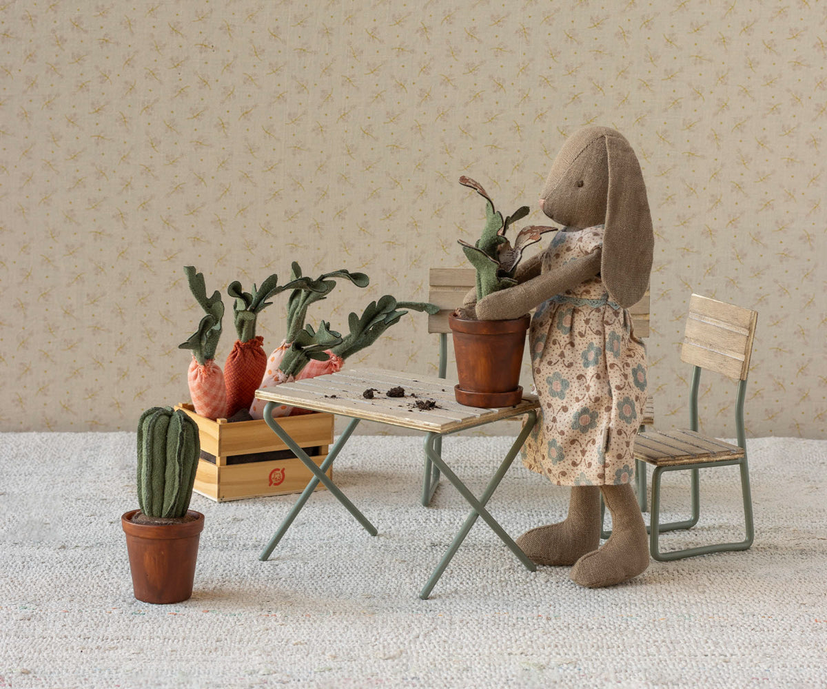 Maceta con cactus