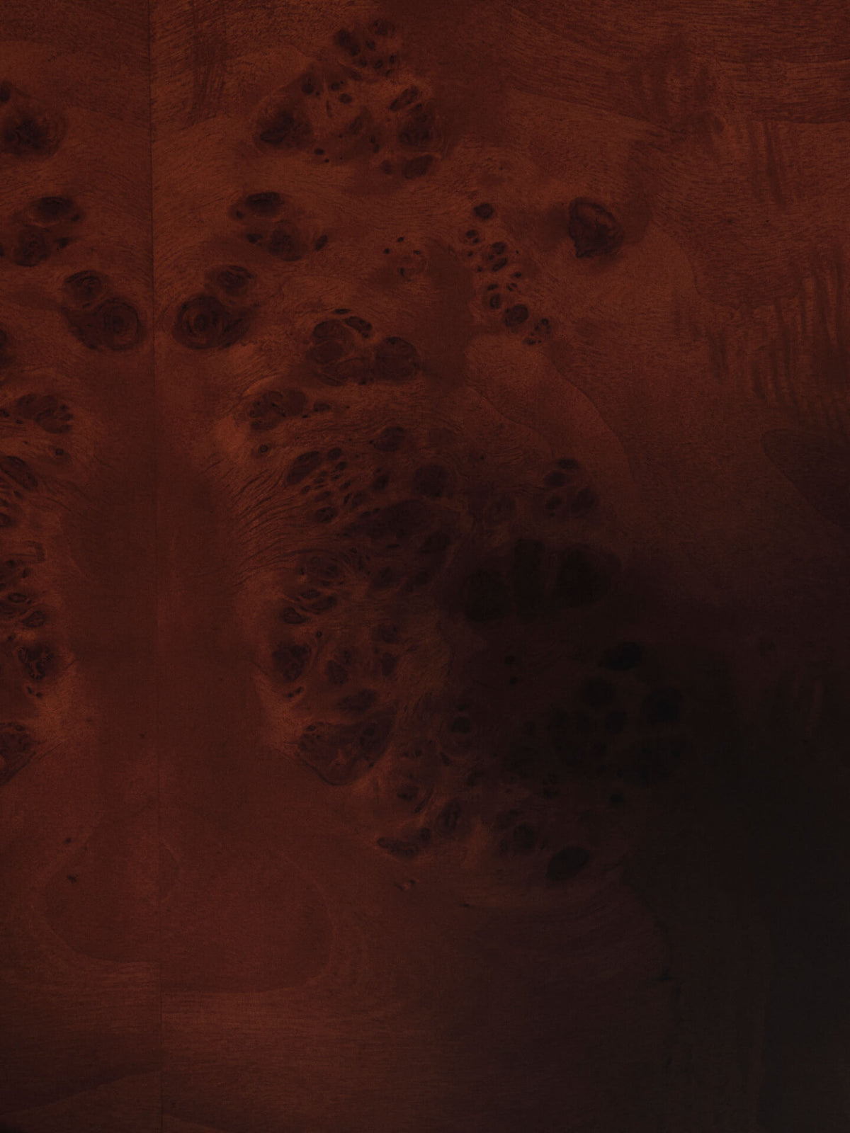 Mesa de centro con almacenamiento Burl – Chapa de madera Burl teñida en oscuro