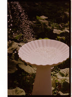 Cuenco pedestal Fountain – Marfil