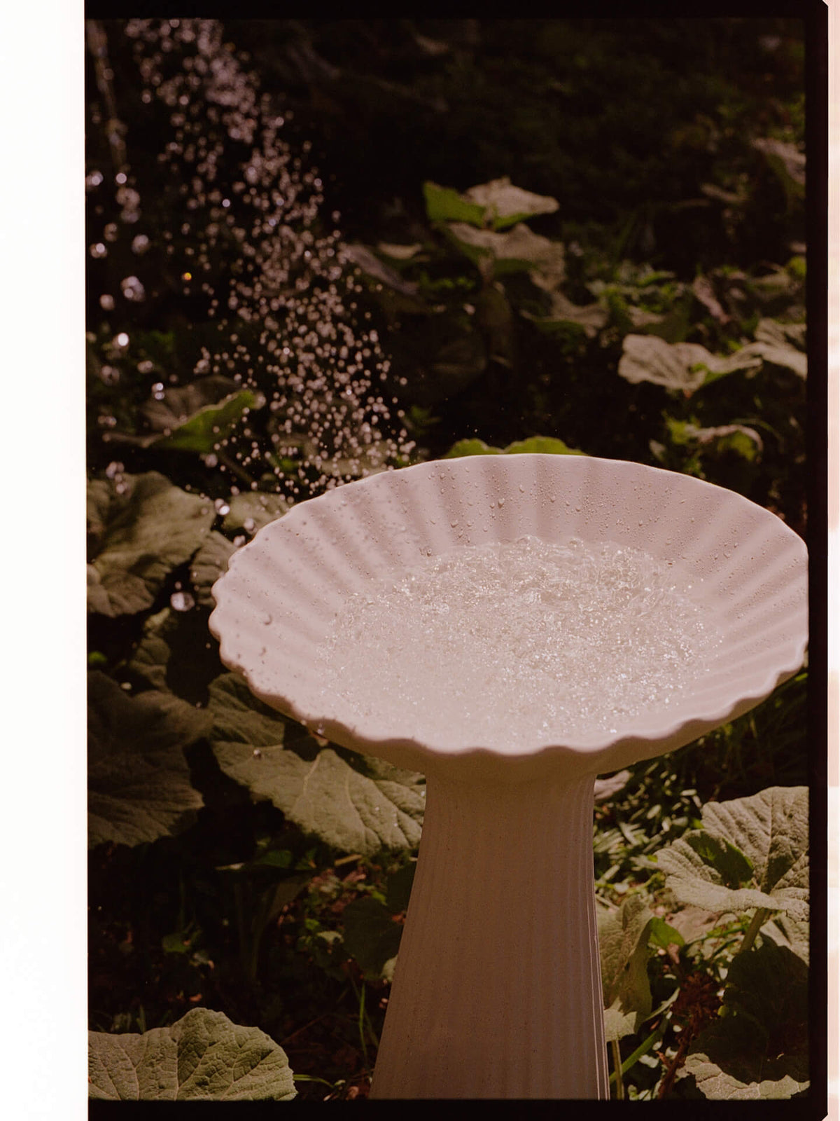 Cuenco pedestal Fountain – Marfil