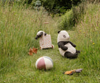 Amigos de Safari, Panda