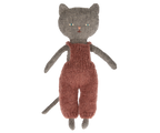 Gatos, Gatitos