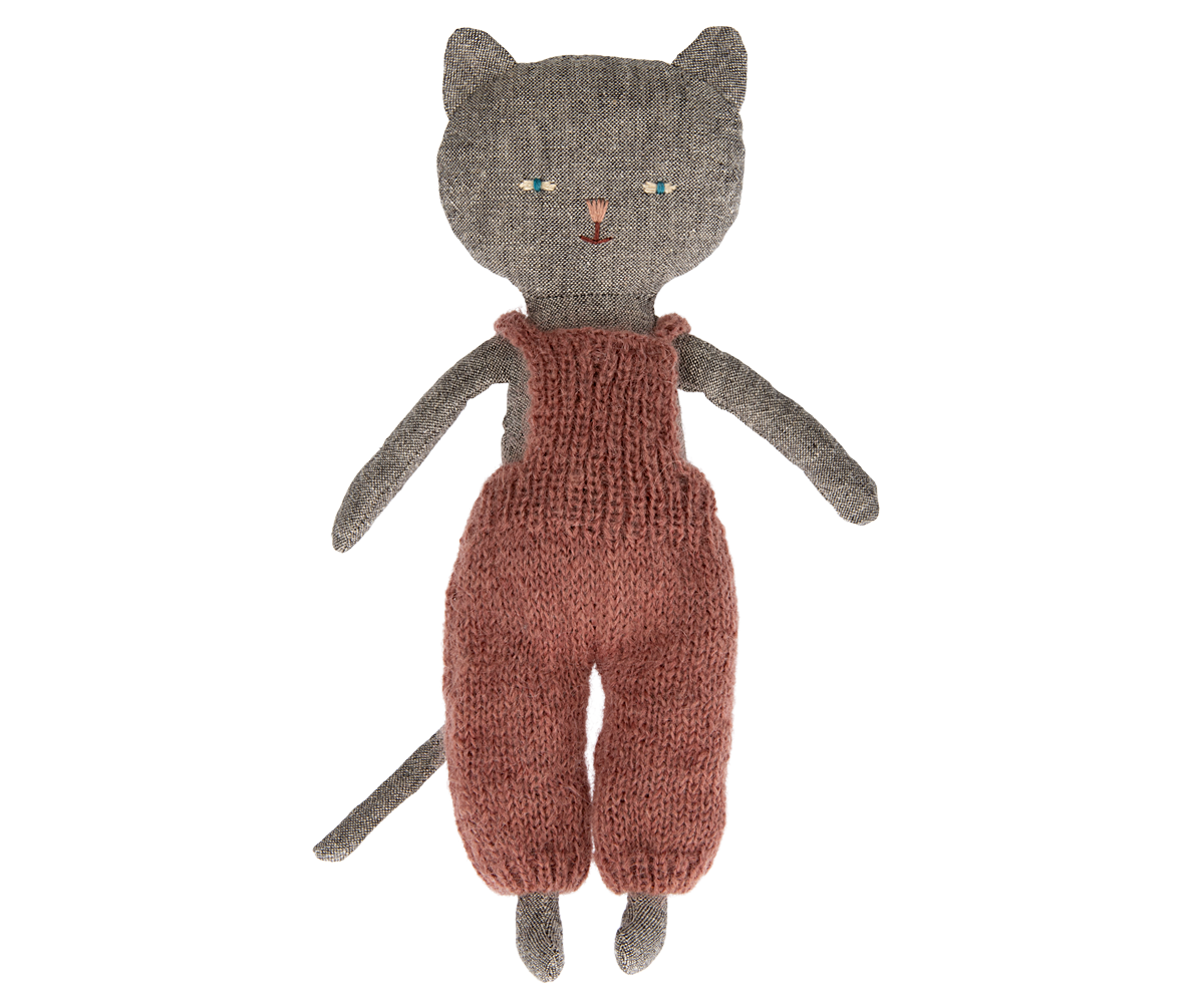 Gatos, Gatitos