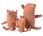 Cerdito, Trufa, Small