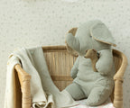 Lullaby friends, Ratón sonajero