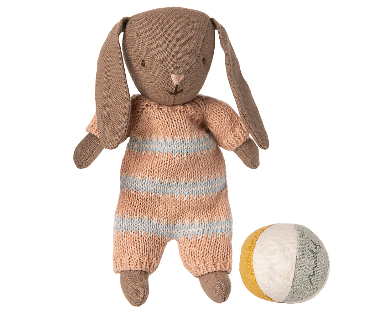 Conjunto de conejito, micro