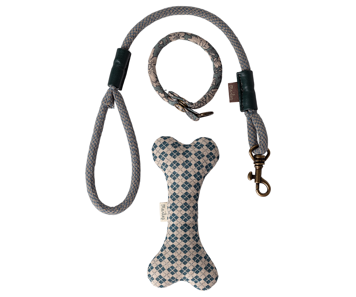 Accesorios para cachorros