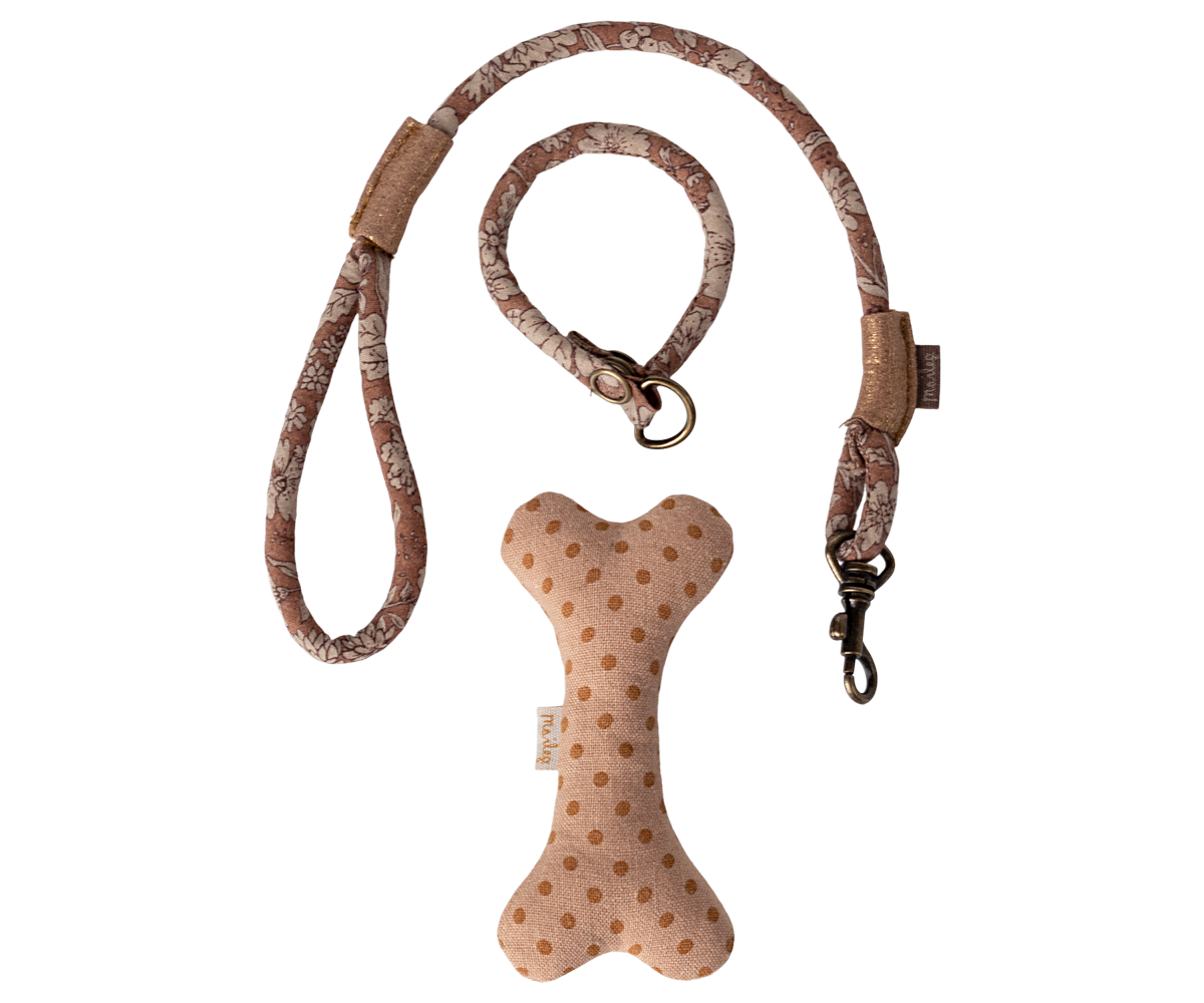 Accesorios para cachorros