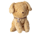 Cachorro, Pequeño