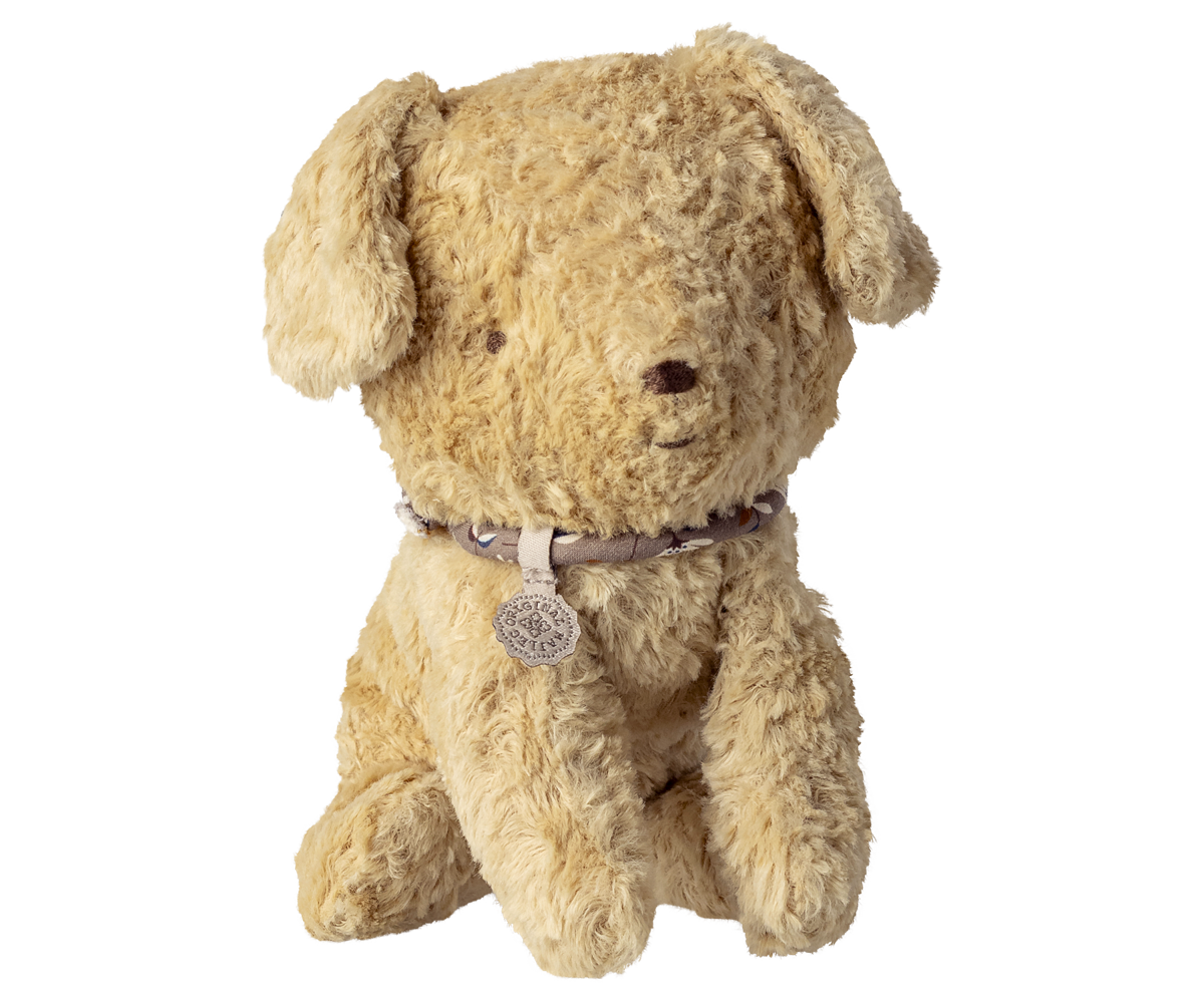 Cachorro, Pequeño