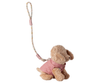 Accesorios para mascotas, arnés y correa
