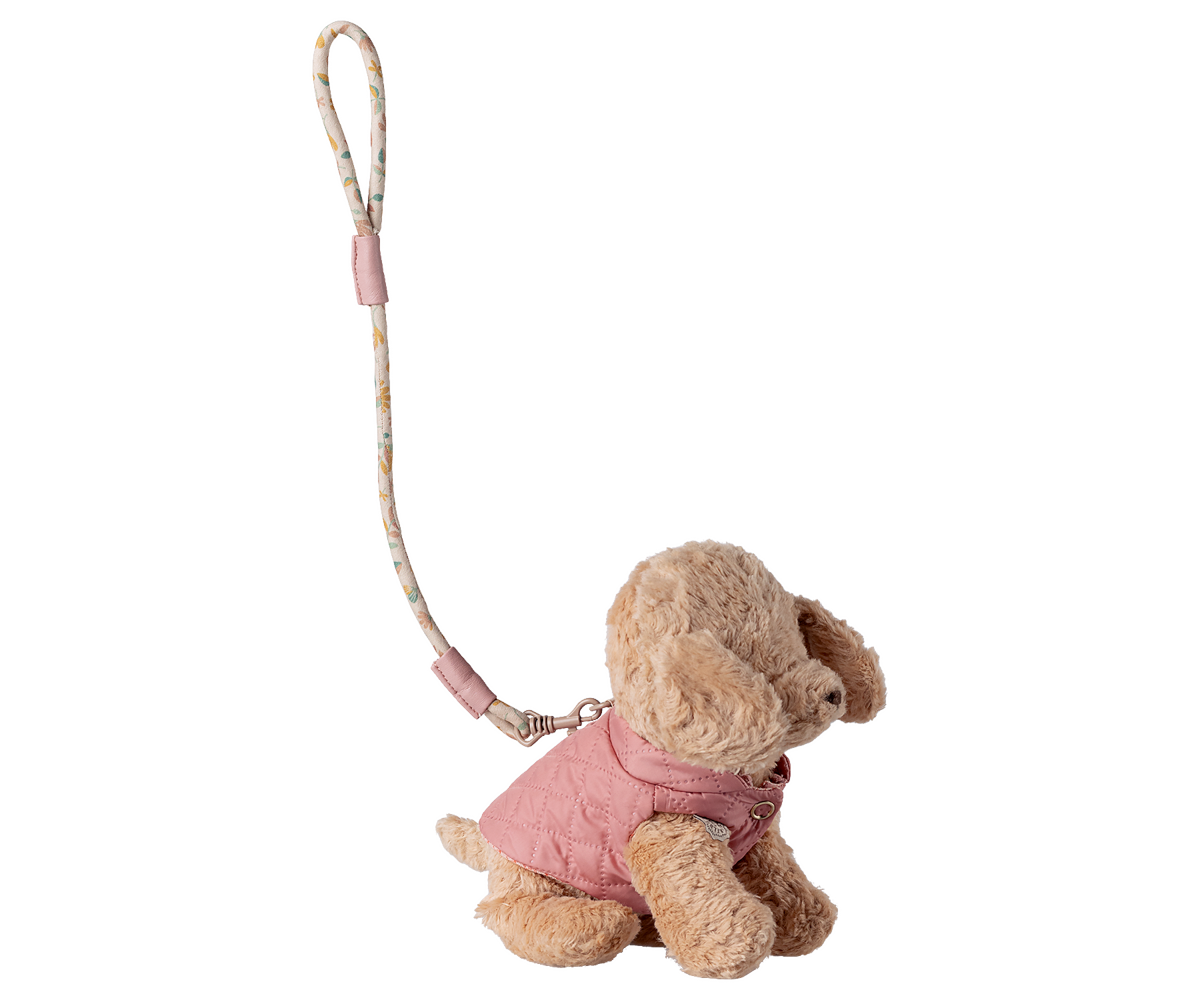 Accesorios para mascotas, arnés y correa