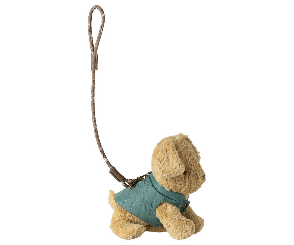 Accesorios para mascotas, arnés y correa
