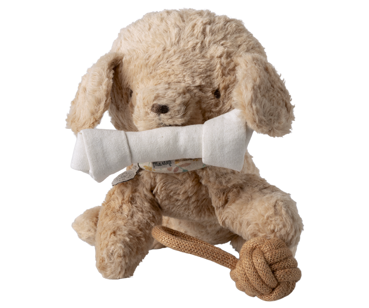 Accesorios para mascotas, Juguetes