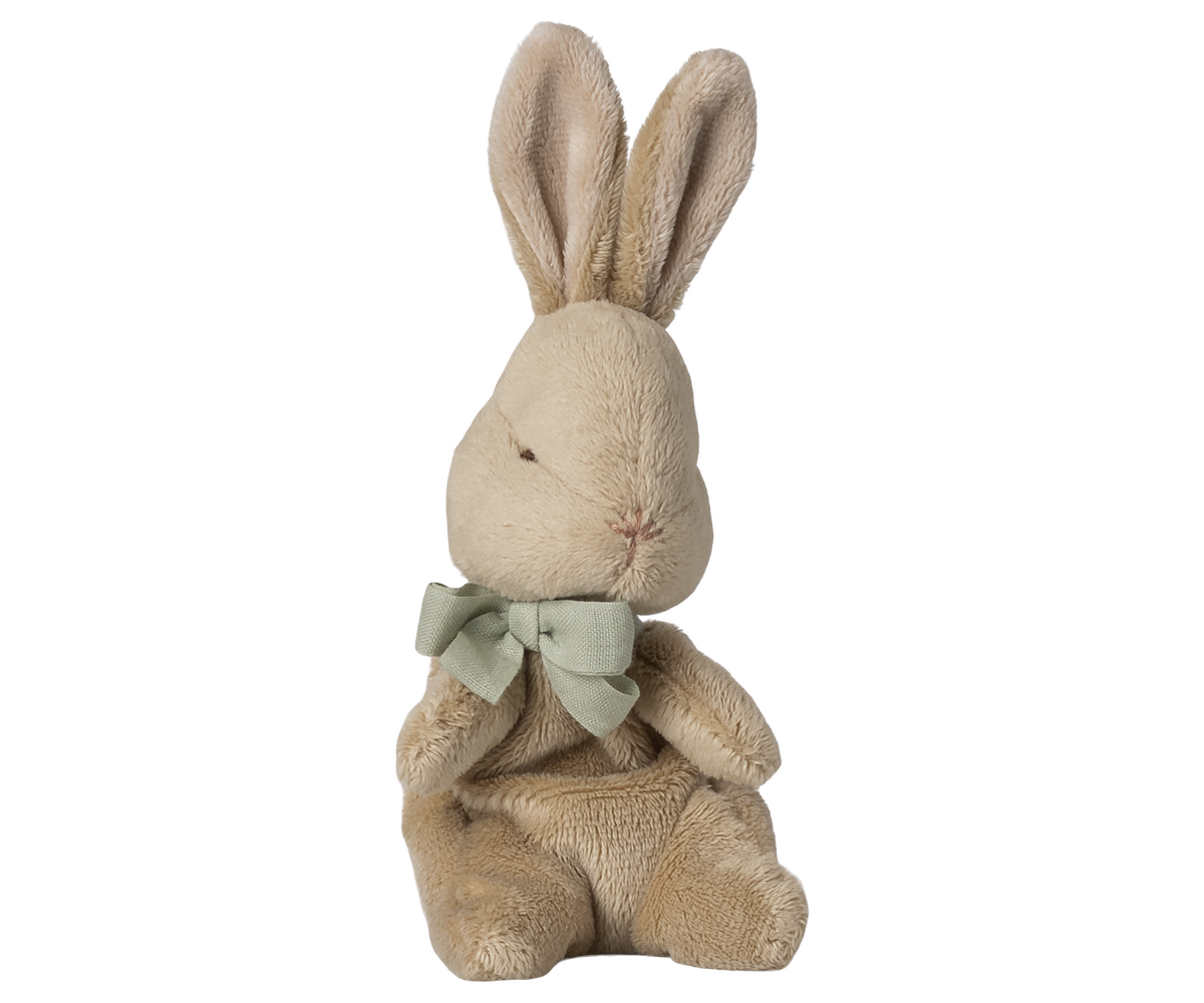 My first bunny