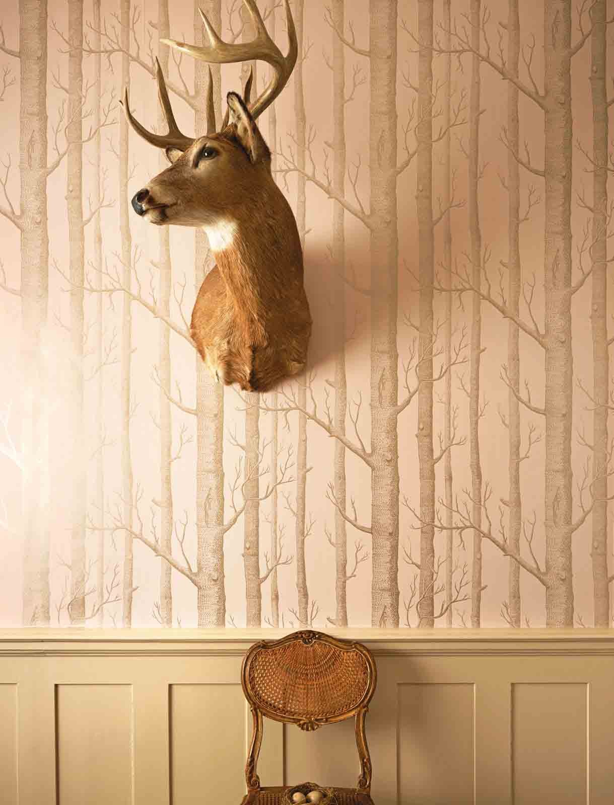 Papel Pintado | Wood Light Pink
