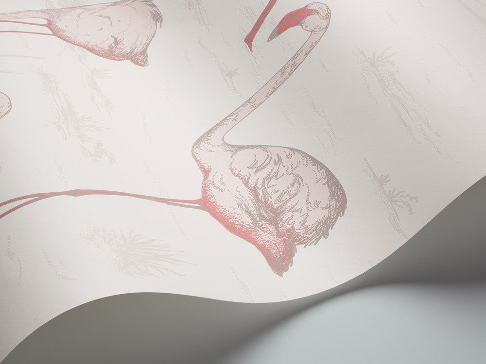 Papel Pintado | Flamingos