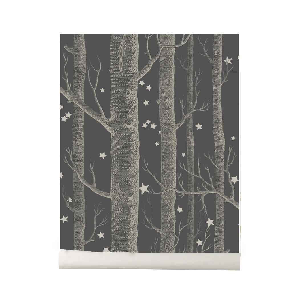 Papel Pintado | Wood And Stars Dark Grey