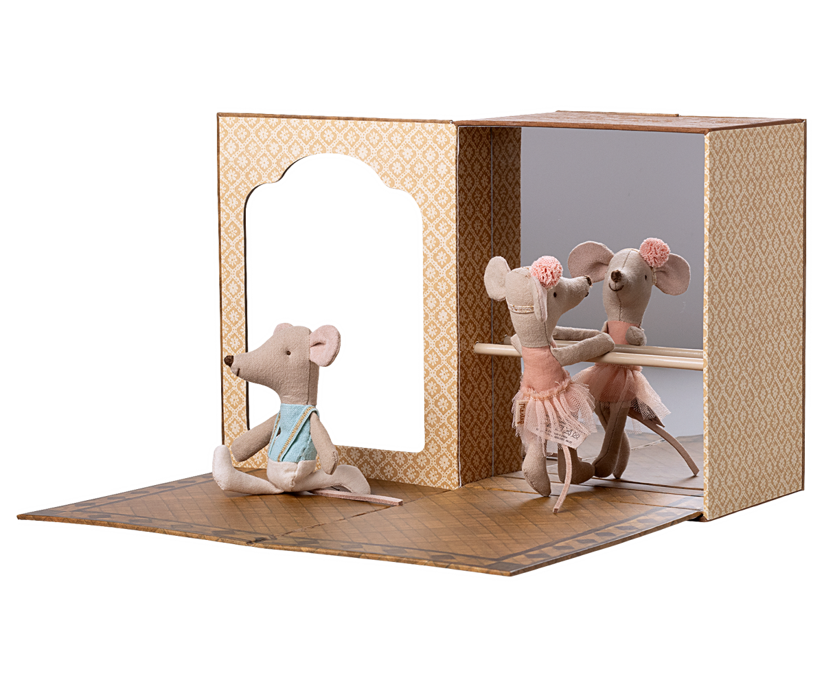 Ratones ballet en estudio de danza, hermana y hermano pequeños