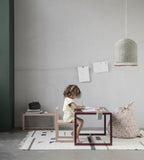 Silla | Little Architect rose