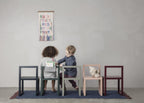 Silla | Little Architect rose