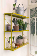 Tria Pack Pared Ocre