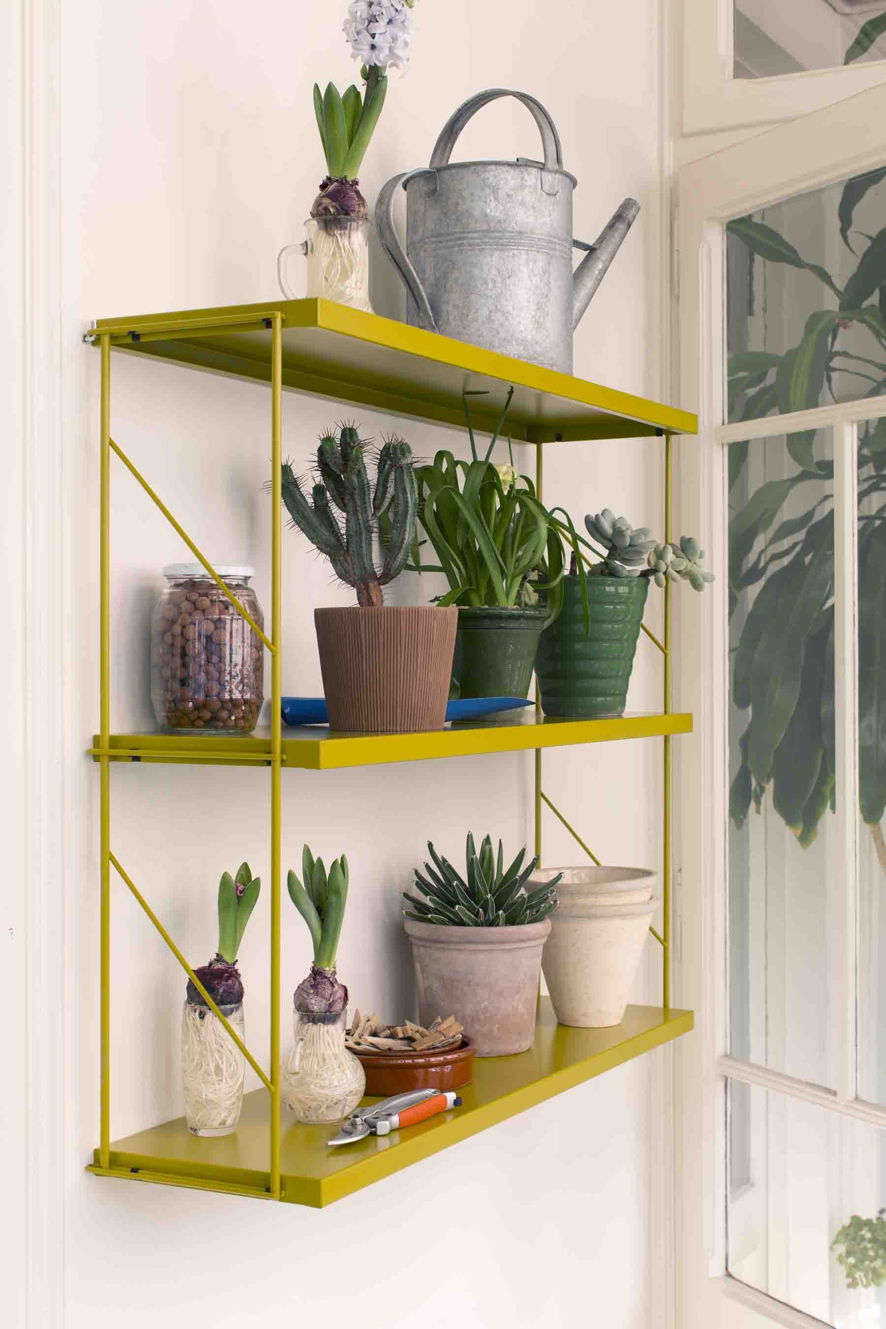 Tria Pack Pared Ocre