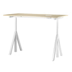 escritorio-ajustable-works-4024