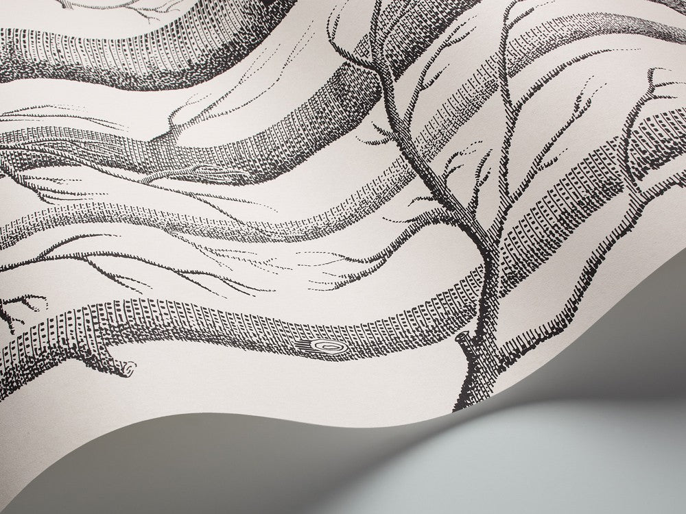 Papel Pintado | Wood