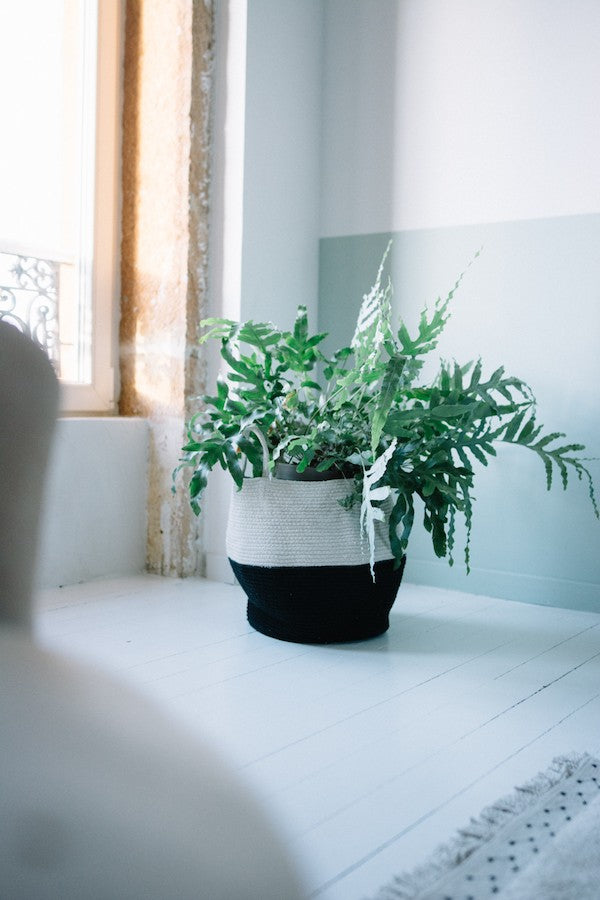 Cesta Natural Negro | Zoco