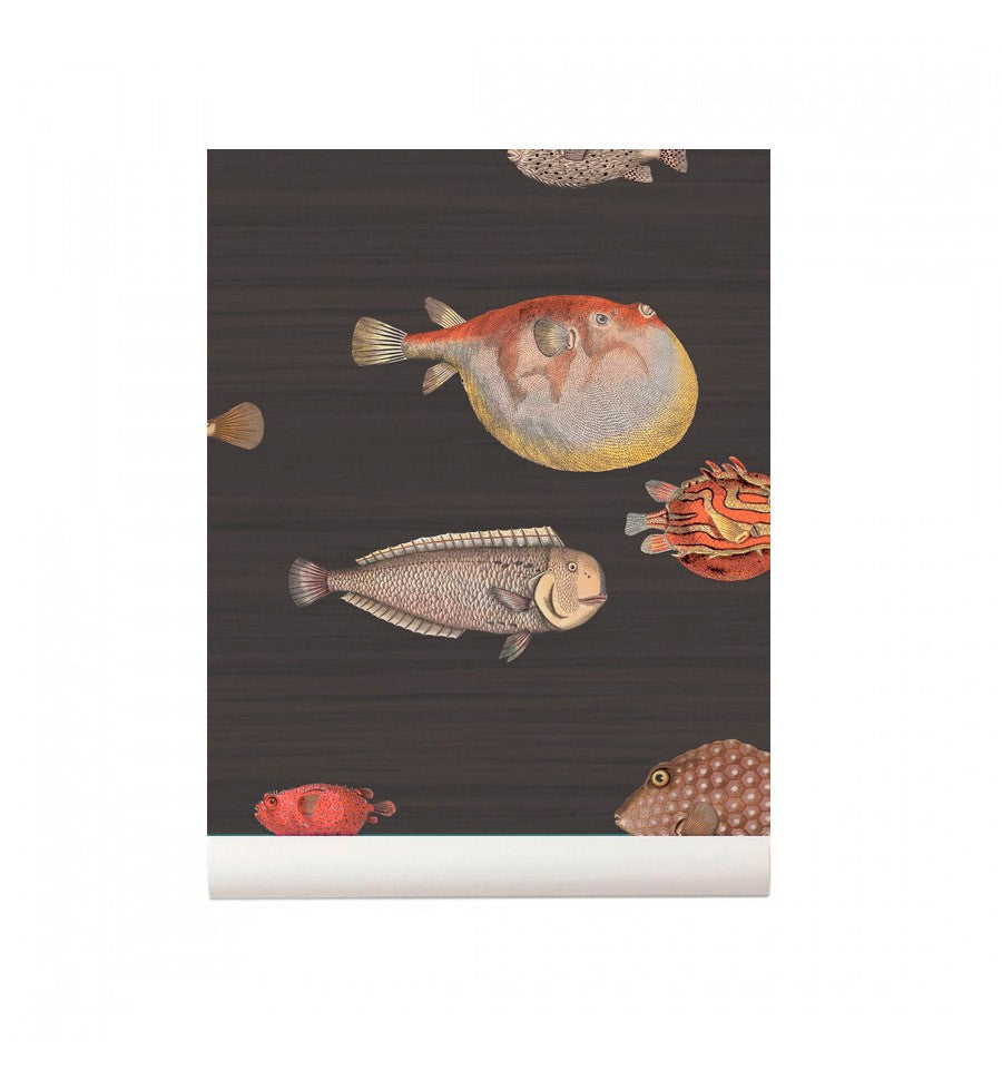papel-pintado--peces-acquario-marron-5645