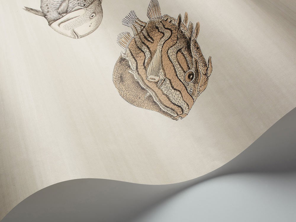 Papier peint | poisson Aquarium Naturel