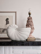jarron-shell-6444
