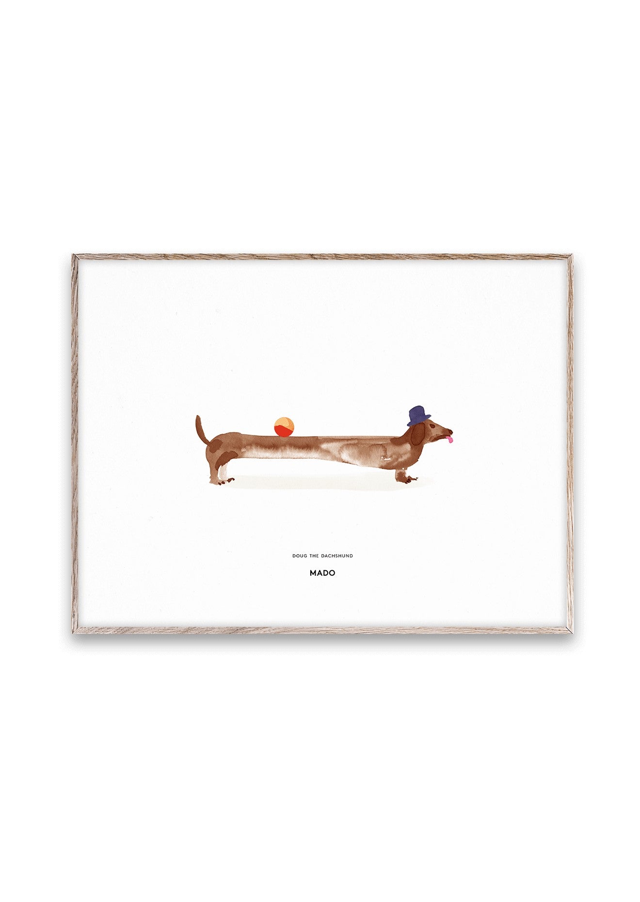 lamina-dough-the-dachshund-6718