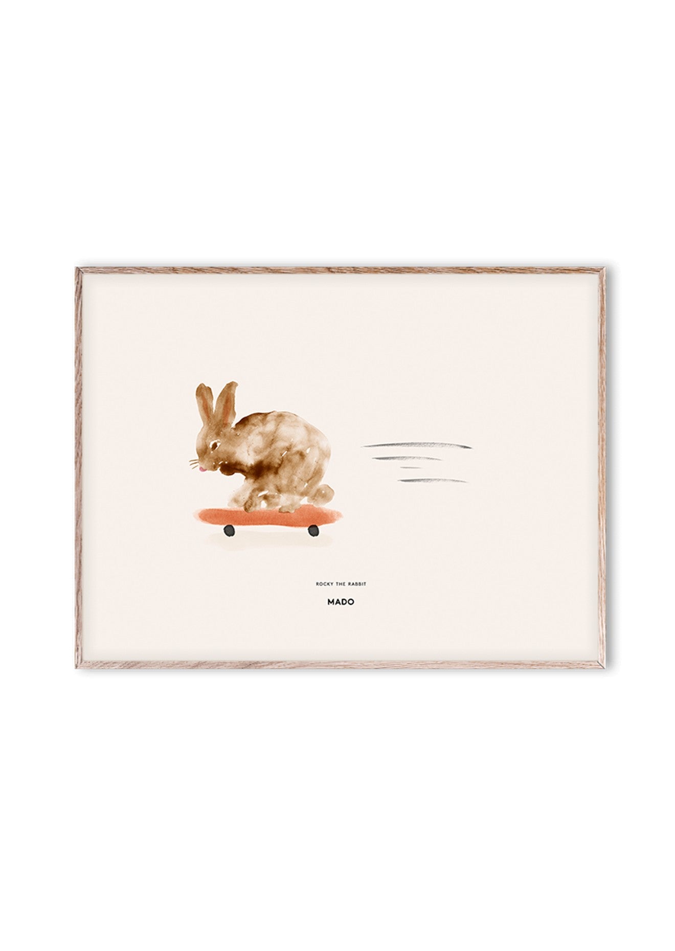 lamina--rocky-the-rabbit-6724