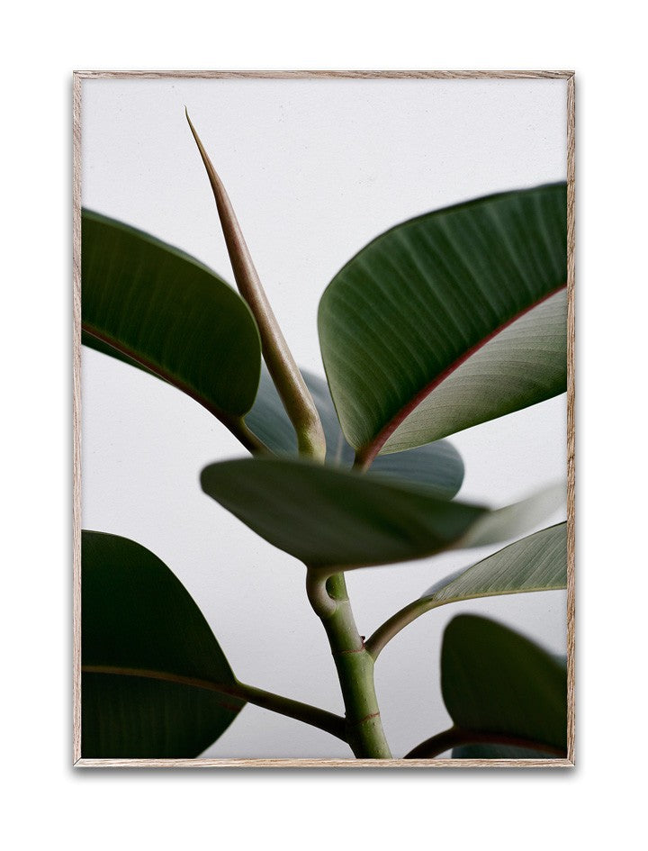 lamina-green-home-02-6738