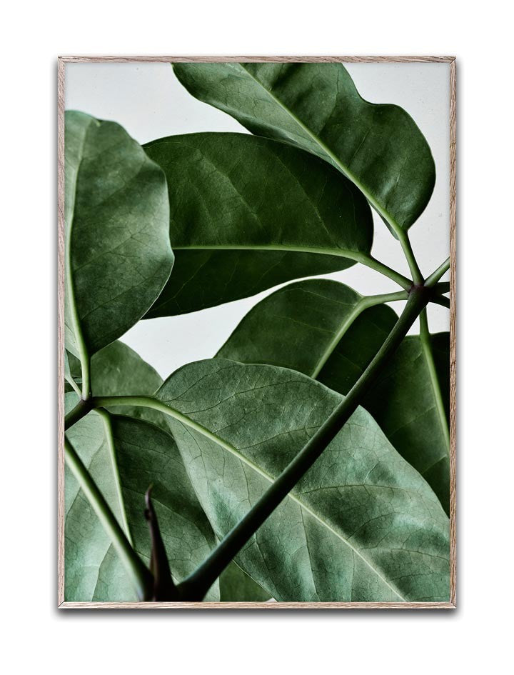 lamina-green-home-01-6739