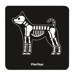 Set De Veterinario