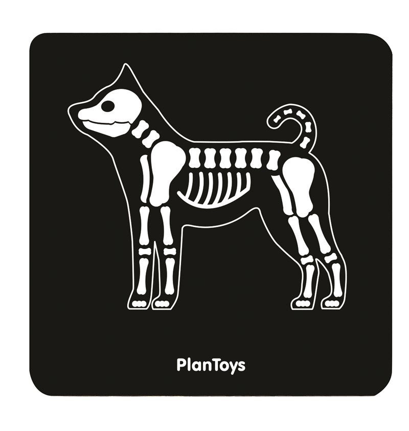 Veterinarian Set