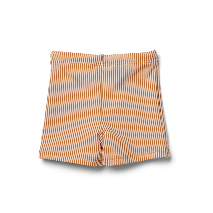 banador-otto--pants-mustard-stripes-7513