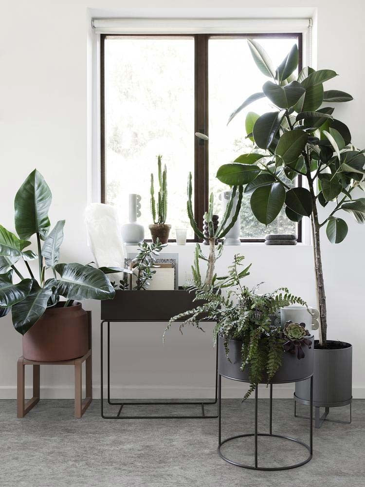 Maceta Bau - Grande - Negro